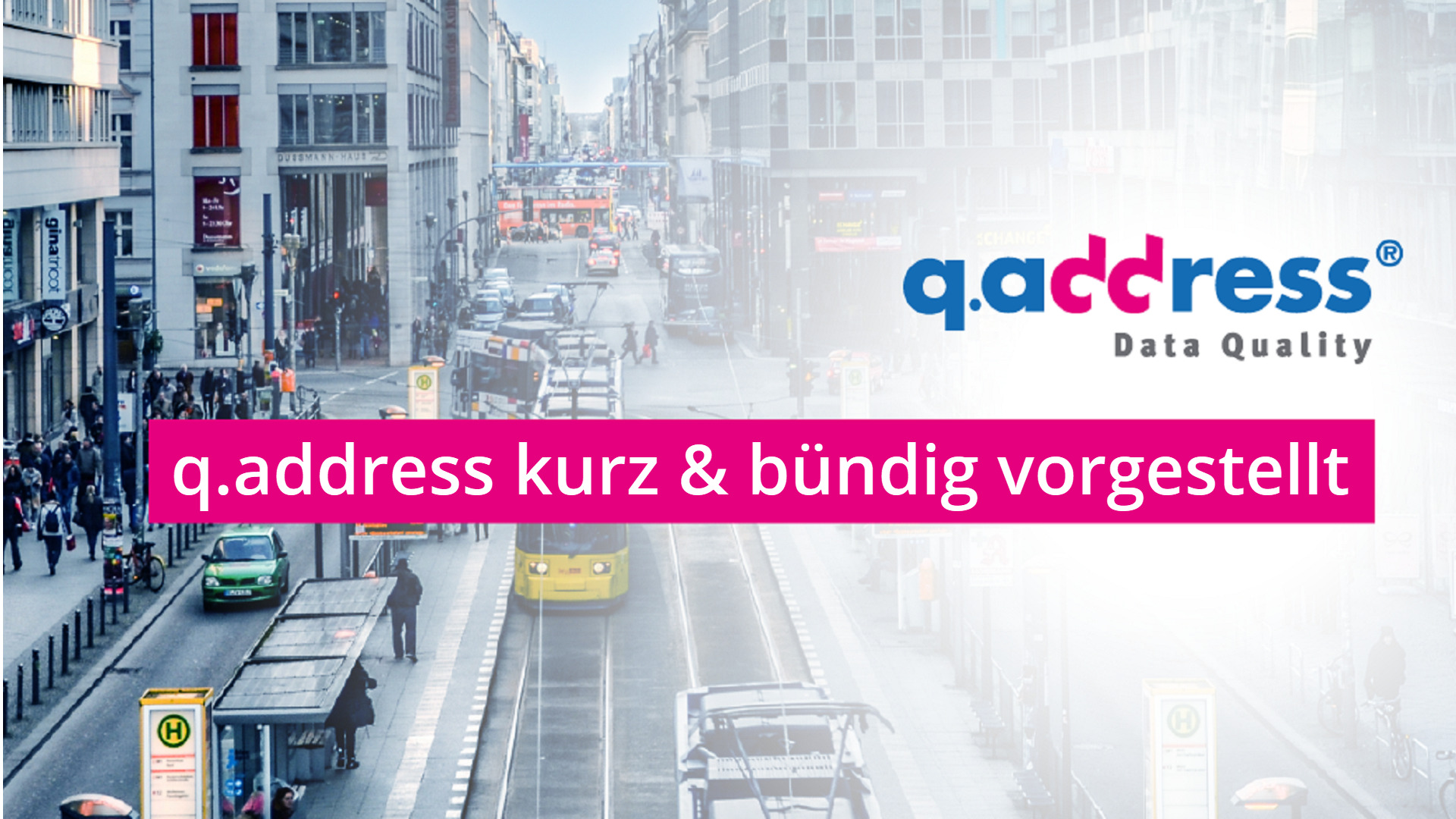 q.address kurz und bündig vorgestellt